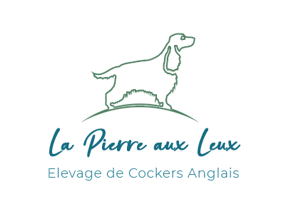 Logo La Pierre aux Leux